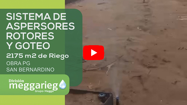 Video 6